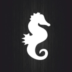 r3278 hippocampe blanc B