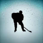 r3306 hockeyeur n T