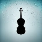 r3312 violon n T