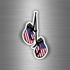r3134 gdb double usa B