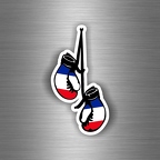 r3135 gdb double france