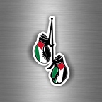 r3141 gdb double palestine B
