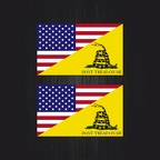 r3156 2x usa gadsden B