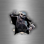 r3166 skull  dechire fuck B