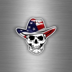 r3171 hat skull usa B