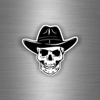 r3173 hat skull nb B