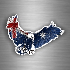 r3212 aigle austra B