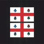 3034 2x drapeau Montreal B