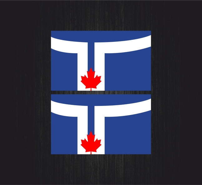 3037 2x drapeau Toronto B.jpg