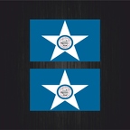 3041 2x drapeau Houston B