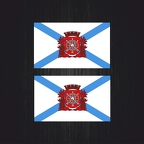3043 2x drapeau Rio de Janeiro B