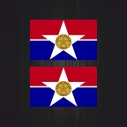 3048 2x drapeau Dallas B