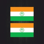 3049 2x drapeau Miami B