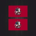 3050 2x drapeau Moscou B