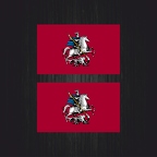 3050 2x drapeau Moscou B