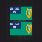 3053 2x drapeau Dublin B