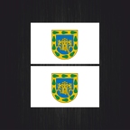 3055 2x drapeau Mexico City B