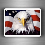r2836 usa flag aigle B