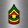 r2698 master sergeant star