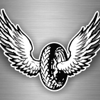 r2743 pneu wings B