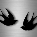 r4717 deux oiseaux n B