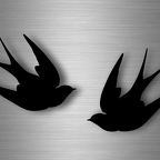 r4717 deux oiseaux n B