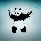 r2945 panda gun n T