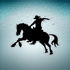 r2951 rodeo cowboy n T