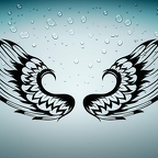 r2749 2x ailes n T
