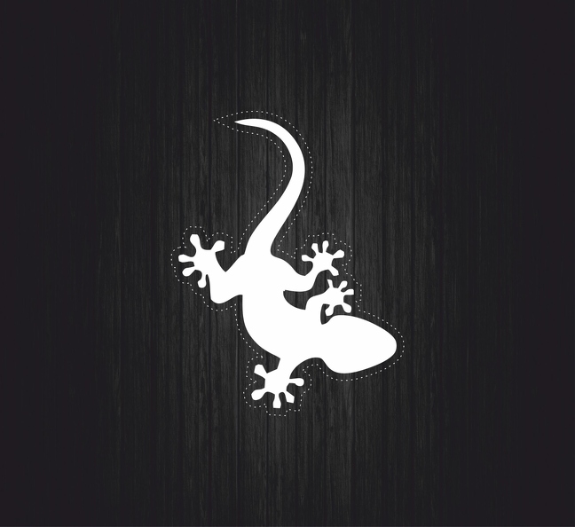 r2868 salamandre blc T.jpg