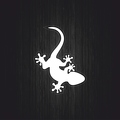 r2868 salamandre blc T
