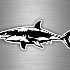 r2970 shark nb B