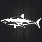r2972 shark blc T