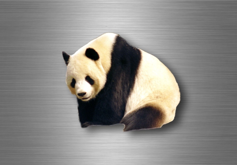 r4745 panda vrai B.jpg