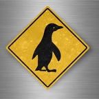 r4776 pinguoin pano B