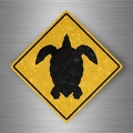 r4777 tortue pano B