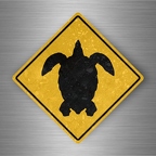 r4777 tortue pano B