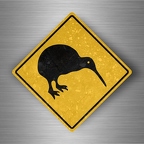 r4779 kiwi pano B