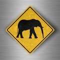 r4780 elephant pano B