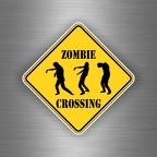 r2992 zombie crossing B