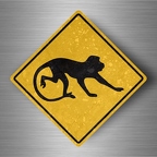 r4781 singe pano B