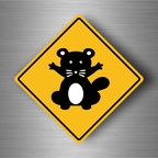 r4783 racoon pano B