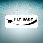 r2674 fly baby B