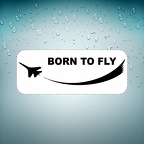 r2675 born to fly B