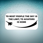 r2677 aviators home B