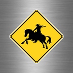 r3006 panneau rodeo B