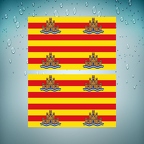 r2920 2x drapeau ibiza