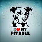 r3015 i love pitbull n rge T