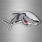 r3017 requin dessin B