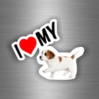 r3019 i love my jack russell B